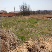 평택땅 PC 갤러리 6