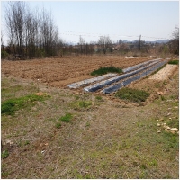 평택땅 PC 갤러리 4